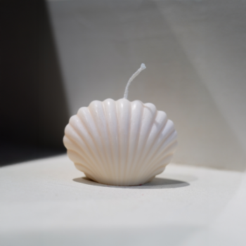 Bougie parfumée cire de Colza naturelle et végétale - coquillage blanc