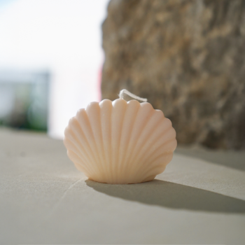 Bougie parfumée cire de Colza naturelle et végétale - coquillage blanc